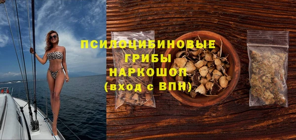 гидропоника Верея